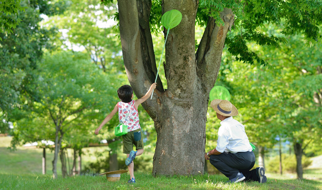 A boy and a dad catching a insect